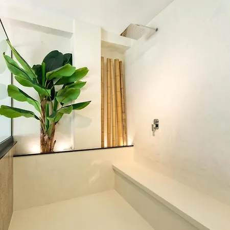 Ivy 3*